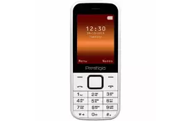 Мобильный телефон PRESTIGIO PFP1243 Duo Wize G1 White (PFP1243DUOWHITE) - Фото