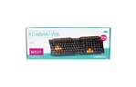 Клавиатура OMEGA OK026RU