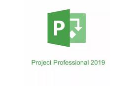 Офисное приложение Microsoft Project Pro 2019 Win All Lng PKL Online DwnLd C2R NR (H30-05756) - Фото