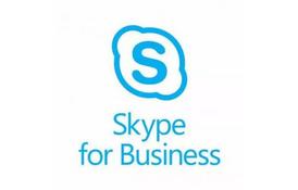 Офисное приложение Microsoft Audio Conferencing 1 Year Corporate (c94271d8_1Y) - Фото