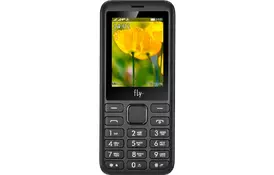 Мобильный телефон Fly FF249 Champagne Gold - Фото