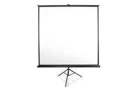 Проекційний екран на тринозі 1:1 113'' (203*203 см) ELITE SCREENS T113UWS1 - Фото