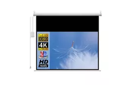 Проекционный экран моторизированный ELECTIO 244х183 см BROM-12043 120