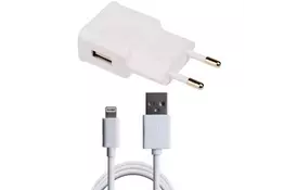 Зарядное устройство Grand-X 1*USB, 1A, White, + cable USB -> Lightning, Cu, 2.1А, 1m (CH765LTW) - Фото