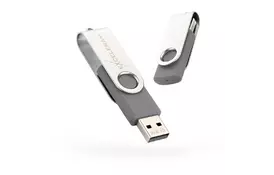 USB флеш накопитель eXceleram 32GB P1 Series Silver/Gray USB 2.0 (EXP1U2SIG32) - Фото