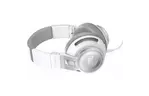 Наушники JBL Synchros S500 White (SYNAE500WHT)