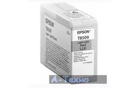 Картридж EPSON P800 UltraChrome HD 80ml LLBlack (C13T850900) - Фото