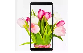 Мобільний телефон ASUS ZenFone Max Pro (M1) ZB602KL 4/128 GB Black (ZB602KL-4A151WW) - Фото