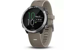 Смарт-часы Garmin Forerunner 645 Sandstone (010-01863-A1) - Фото