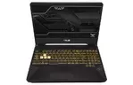 Ноутбук ASUS FX505GM (FX505GM-ES040T)