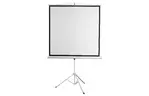 Проекционный экран на треноге 1:1 96'' (172*172 см) 2E 0001196T