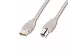 Кабель для принтера DIGITUS USB 2.0 (AM/BM) 1.8m, beige - Фото