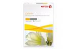 Бумага Xerox COLOTECH + (160) A4 250арк. AU (003R98852)