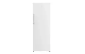 Морозильная камера Beko RFNE290L21W - Фото