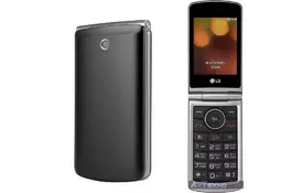 Мобильный телефон LG G360 Titan (LGG360.ACISTN) - Фото