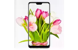 Мобільний телефон ASUS ZenFone Max Pro (M2) ZB631KL 6/64 GB Midnight Blue (ZB631KL-4D067EU) - Фото