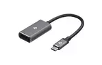 Адаптер 2Е Type-C to DisplayPort, Alluminum, 0.2м