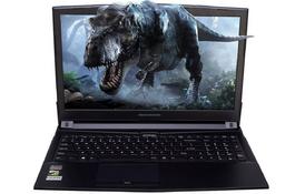 Ноутбук DREAM MACHINES Clevo G1060-15 (G1060-15UA33) - Фото