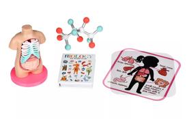 Набор аксессуаров Our Generation анатомия (BD37344Z) - Фото