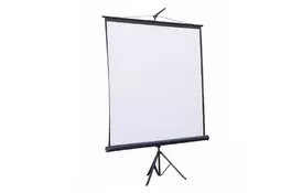 Проекционный экран на треноге 1:1 100'' (180*180 см) ATRIA ECO TRM-AV-70 - Фото