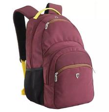 Рюкзак для ноутбука SUMDEX 16'' burgundy-yellow (PON-391OR)