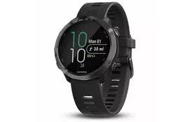 Смарт-часы Garmin Forerunner 645M Slate (010-01863-G2) - Фото
