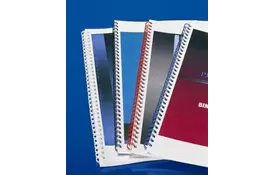 Металлические пружины RENZ А4 38 мм, бел, уп/20 - Фото