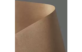 Гал. бум. Картон Дизайнерський, 230 гр, уп/20, Kraft - Ciemnobezowy - Фото