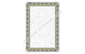 Галерея паперу, Диплом 170 гр, уп/25 Srebro - Фото