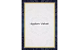 Галерея паперу, Диплом 170 гр, уп/25 Velvet - Фото