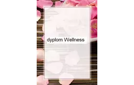 Галерея паперу, Диплом 170 гр, уп/25 Wellness - Фото