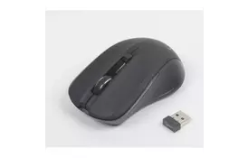 Мышка GEMBIRD MUSW-201 - Фото