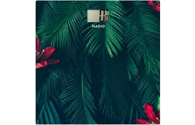 Весы напольные Magio MG-813 - Фото