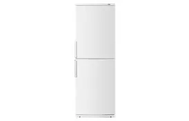 Холодильник ATLANT XM 4023-100 (XM-4023-100) - Фото