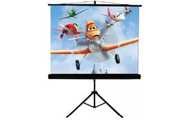 Проекционный экран на треноге 4:3 120'' (244*183 см) Walfix SNT-4 - Фото