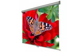 Проекционный экран с механизмом возврата 4:3 120'' (244*183 см) Walfix SNM-4 - Фото