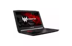 Ноутбук Acer Predator Helios 300 PH315-51-535G (NH.Q3FEU.039)