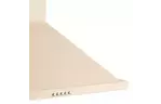 Вытяжка кухонная PYRAMIDA KH 50 (1000) IV