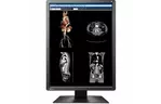Монитор Eizo MX216-SB