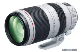 Об'єктив Canon EF 100-400mm f/4.5-5.6L IS II USM (9524B005) - Фото