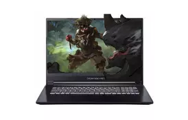 Ноутбук Dream Machines RG2060-17 (RG2060-17UA27) - Фото