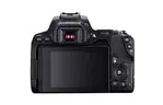Цифровой фотоаппарат Canon EOS 250D 18-55 DC III Black kit (3454C009)