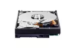 Жесткий диск 3.5'' 500Gb Western Digital (WD5000AAKX)