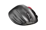 Мышка Trust Sferia Wireless Trackball Black (23121)