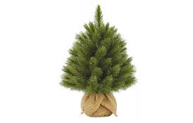 Искусственная сосна Triumph Tree Forest Frosted зеленая 0,45 м (8712799955837) - Фото