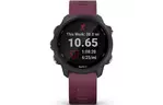 Смарт-часы Garmin Forerunner 245 Black/Wine Red (010-02120-4B/11/45)