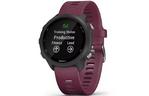 Смарт-часы Garmin Forerunner 245 Black/Wine Red (010-02120-4B/11/45)