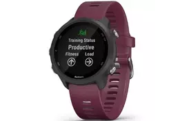 Смарт-часы Garmin Forerunner 245 Black/Wine Red (010-02120-4B/11/45) - Фото