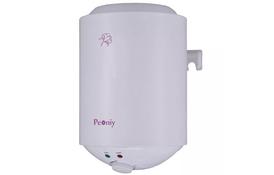 Бойлер PEONIY Palermo P-MEV-10R - Фото