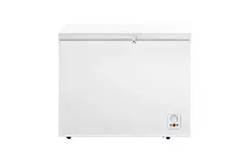 Морозильная камера Gorenje FH251AW - Фото